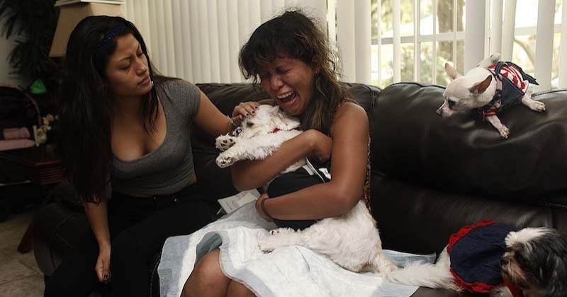 Cette série de photos montre la douleur insoutenable face à la perte imminente de son animal de compagnie mourant