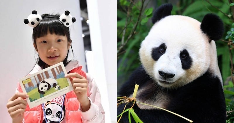 	 Zoé, une jeune militante chinoise de 9 ans se bat pour sauver les pandas menacés par le réchauffement climatique