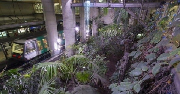 La RATP étudie un projet de création d'espaces verts dans le métro parisien... De quoi redonner de belles couleurs aux transports souterrains