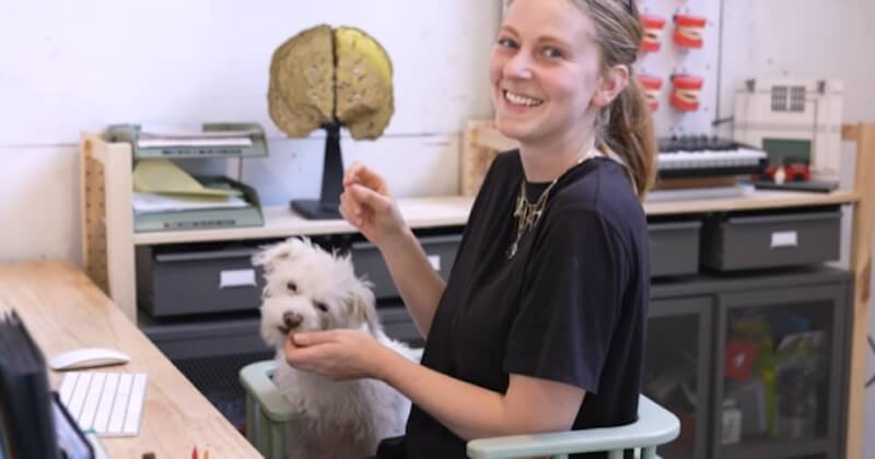 Elle invente une chaise de bureau spécialement conçue pour que son chien se joigne à elle pendant qu'elle travaille