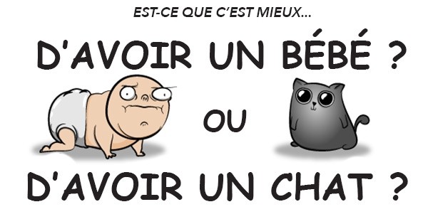 C'est quoi la différence entre « avoir un bébé » et « avoir un chat » ?