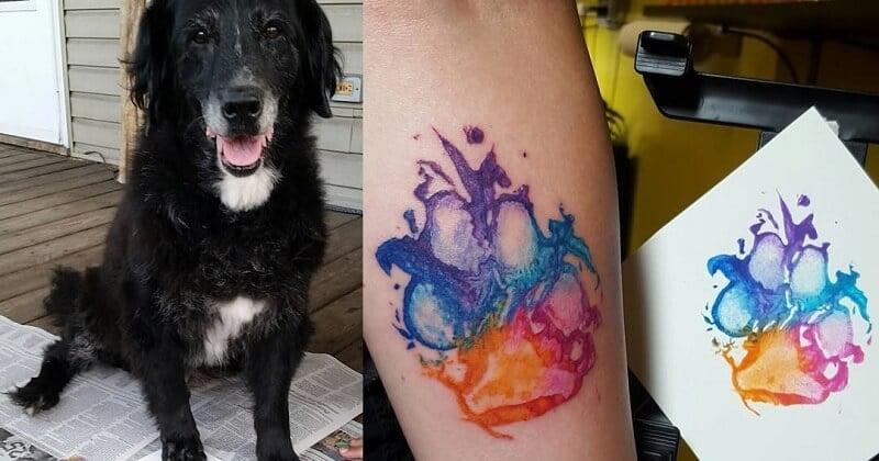 Des propriétaires de chiens se font tatouer l'empreinte des pattes de leur animal pour montrer leur attachement