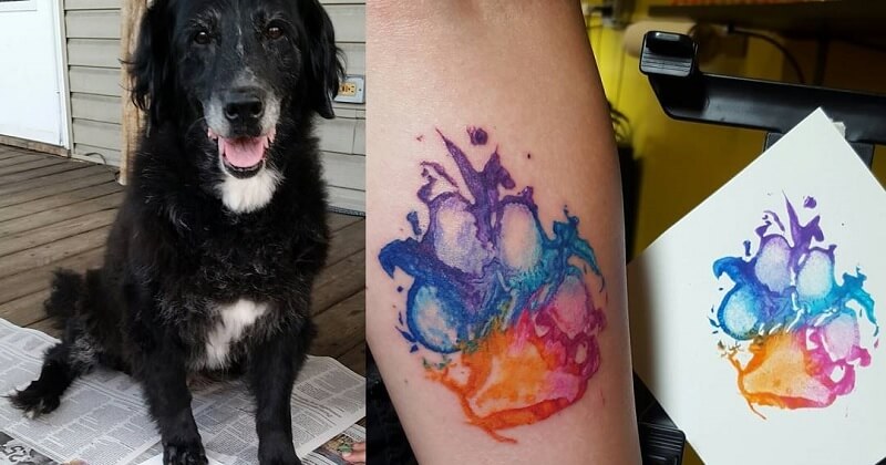 des tatouages d'empreintes de pattes de chiens - 2Tout2Rien  Patte de chien,  Tatouage patte de chien, Idées tatouage animaux