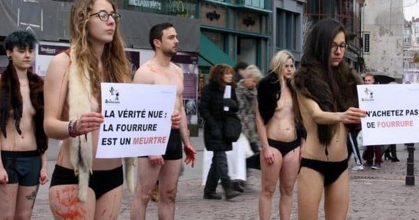 Nus contre la fourrure : des militants se dénudent à Strasbourg, malgré le froid, pour dénoncer la cruauté des fermes à fourrure