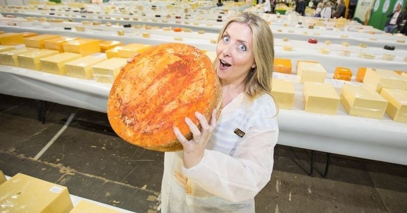 Devenir testeur de fromage, le job de rêve proposé par une entreprise britannique 