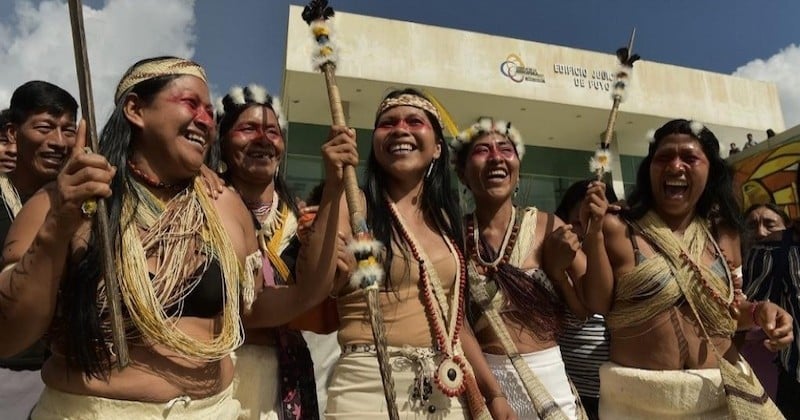 Équateur : la communauté indigène des Waoranis remporte une victoire judiciaire historique contre l'industrie pétrolière