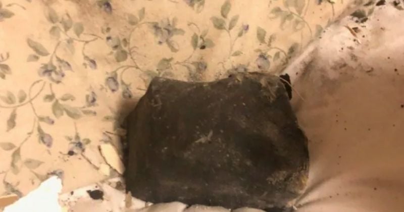  Un fragment de météorite termine sa course dans le... lit d'une Canadienne 