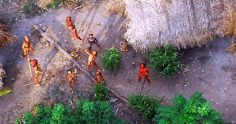 Amazonie : un groupe de chercheurs d'or massacre l'une des dernières tribus Amérindiennes a n'avoir encore jamais été contactées, après les avoir croisés dans la forêt