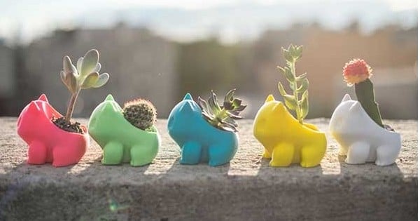 Avis à tous les dresseurs Pokémon en herbe, et autres amateurs du type Plante : ces petits Bulbizarres sont vraiment trop mignons