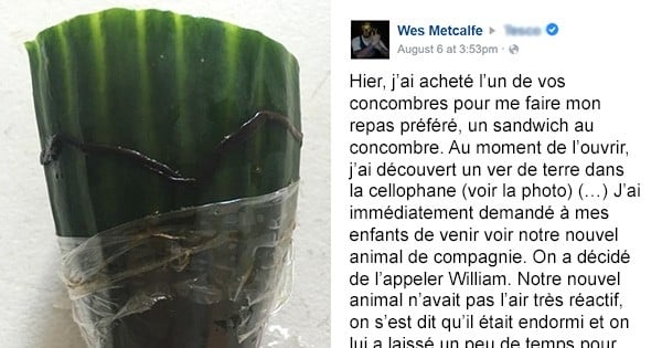 Il trouve un ver de terre dans un concombre acheté au supermarché. Va se plaindre. Et ne reçoit pas forcément la réponse qu'il attendait