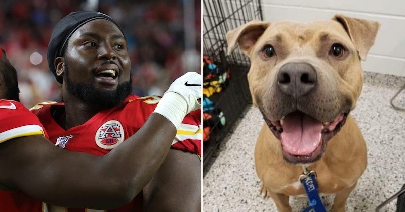  Pour célébrer sa victoire au Super Bowl, un joueur des Kansas City Chiefs a payé les frais d'adoption d'une centaine de chiens