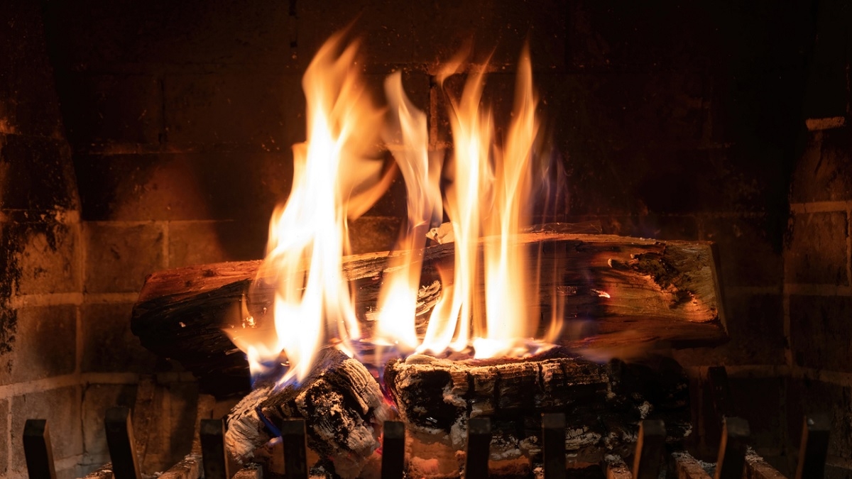 Les pénuries de bois de chauffage de plus en plus fréquentes, tandis que son prix augmente