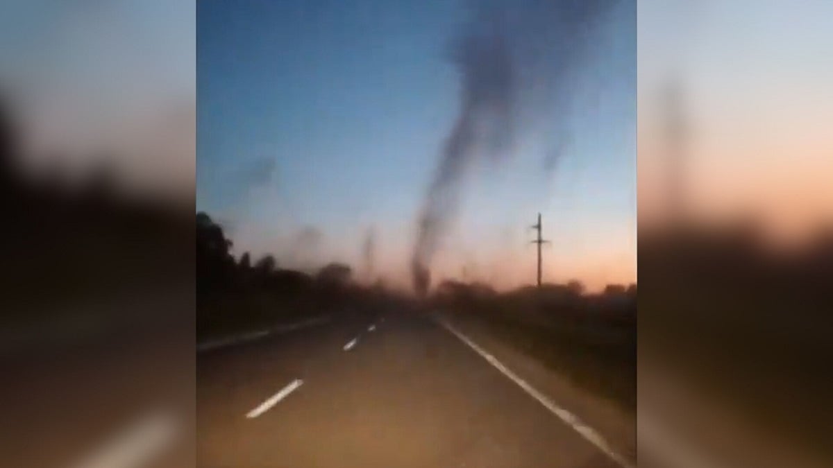 VIDÉO - des nuages de moustiques agressifs et voraces envahissent l'Argentine, un homme piqué... 1500 fois