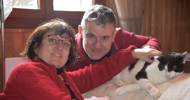 19 jours après avoir perdu leur chat dans un accident de la route, un couple le retrouve grâce à la solidarité des habitants