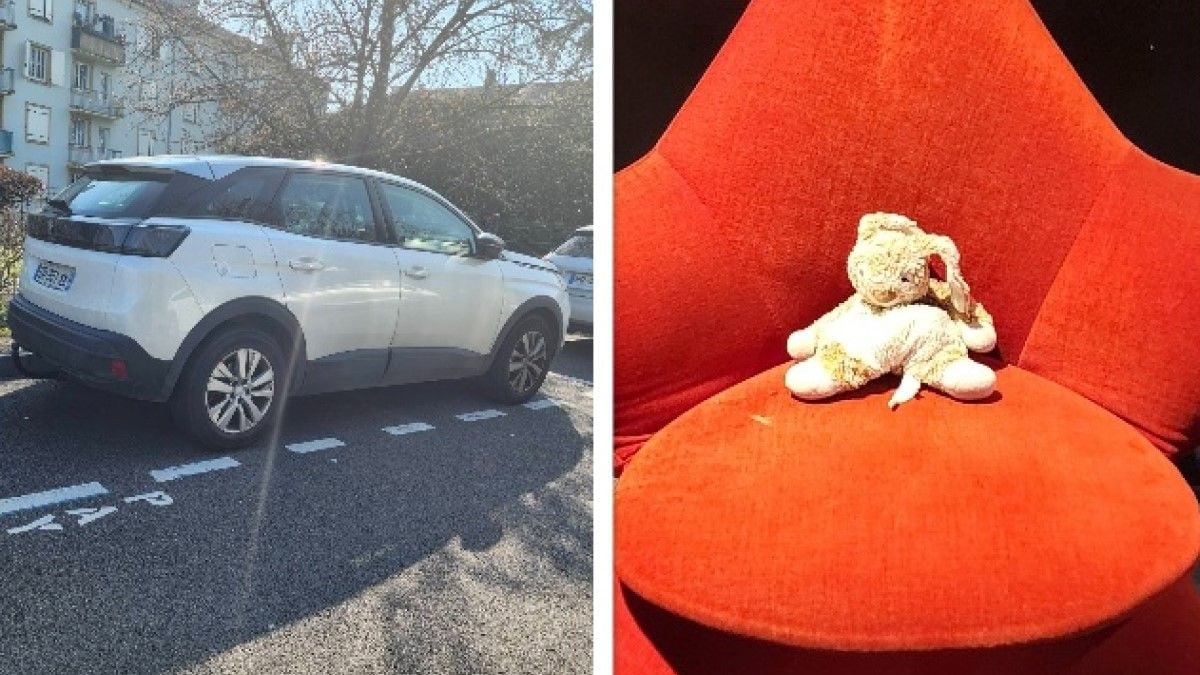 « Elle ne fait que pleurer » : le doudou de sa fille autiste est volé avec sa voiture, elle appelle à l'aide pour le retrouver