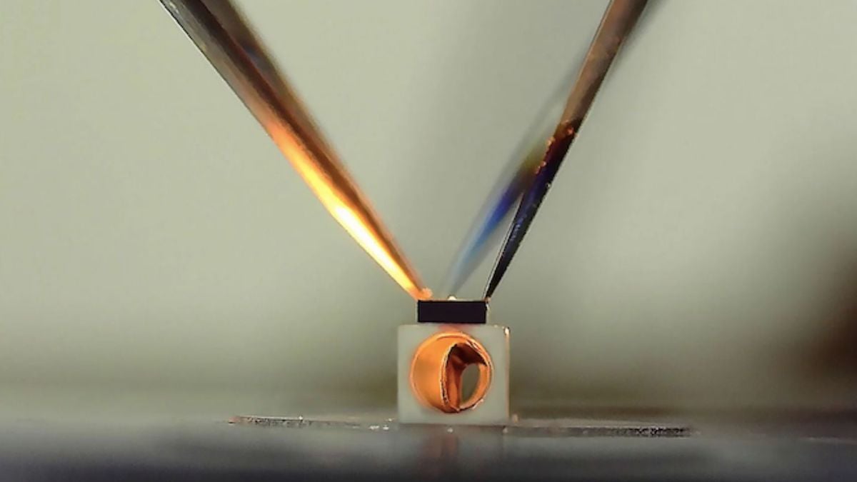 Un micromoteur de la taille d'un grain de riz présenté comme une “révolution” pour la contraception féminine