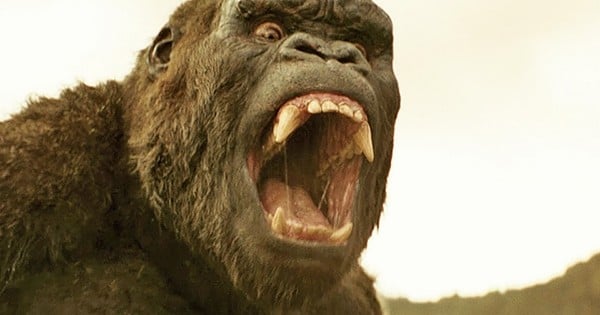 « Kong : Skull Island » : découvrez les 21 anecdotes les plus folles sur l'histoire du gorille le plus impressionnant du cinéma