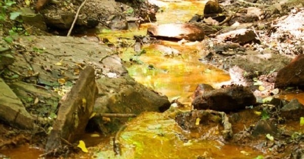 Incroyable découverte en Suisse ! Un ruisseau rempli de... bière étonne les autorités