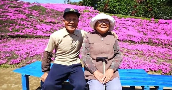 Sa femme perd la vue, il passe 2 ans à planter des milliers des fleurs parfumées afin de lui redonner le sourire