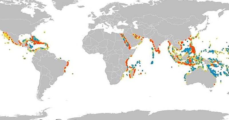 Cette carte montre l'ampleur de l'impact des excréments humains sur les océans