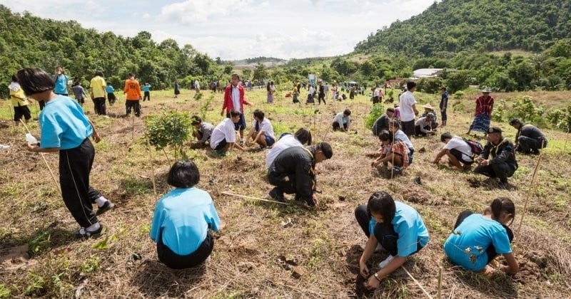 Aux Philippines, tous les étudiants doivent planter 10 arbres avant la fin de leurs études 