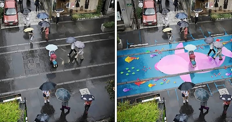 Dans les rues de Séoul, d'immenses oeuvres de street art apparaissent dès qu'il pleut