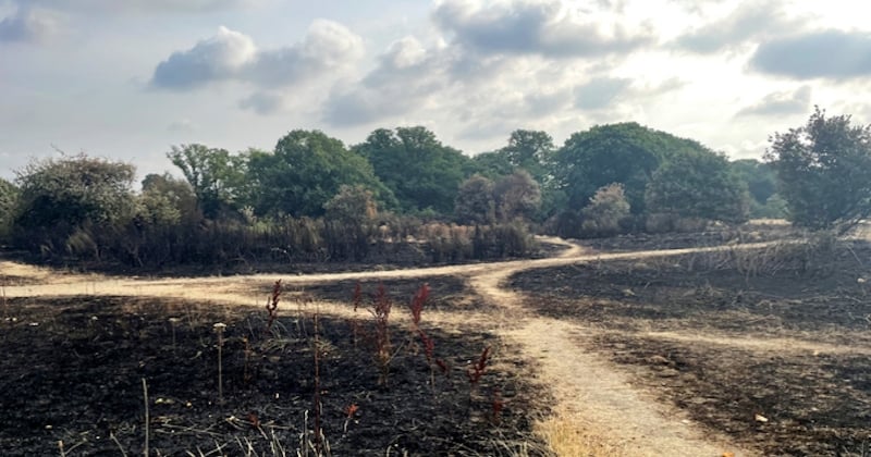 Estos países serán los más afectados por las altas temperaturas