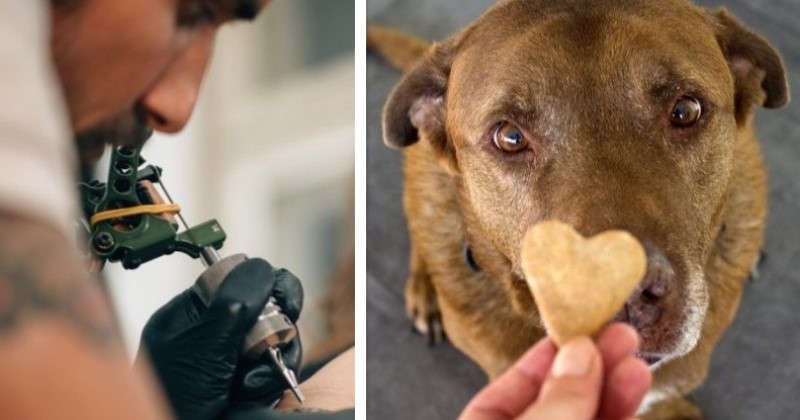 Limoges : des tatoueurs proposent un tatouage gratuit contre un don pour les animaux