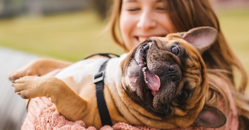 Avoir un chien augmenterait l'espérance de vie selon une étude