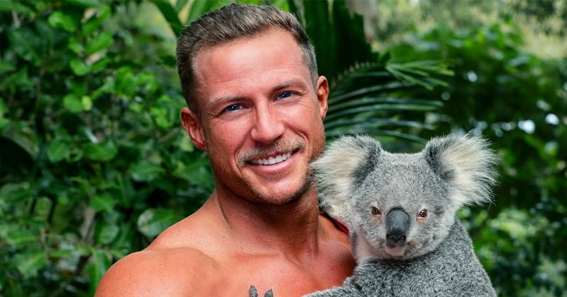 Le calendrier 2022 des pompiers australiens est sorti et apporte son soutien aux animaux