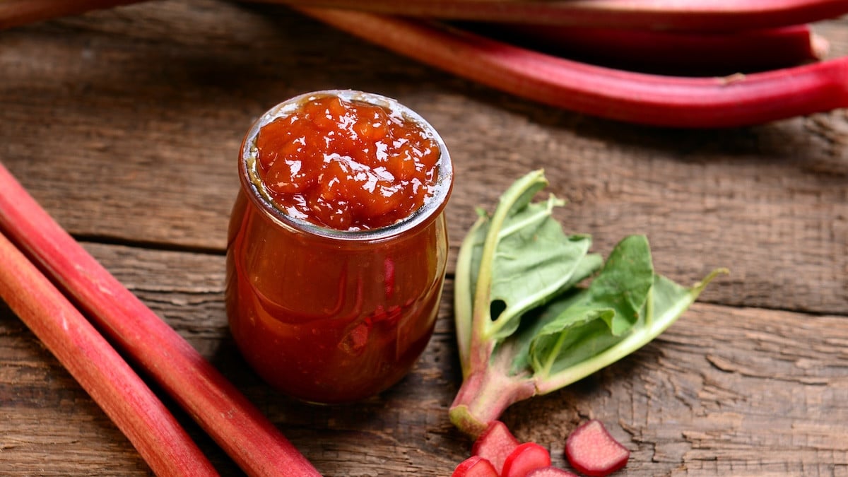 Rhubarbe : l'erreur fatale au moment de la cuisson qui rend votre compote amère