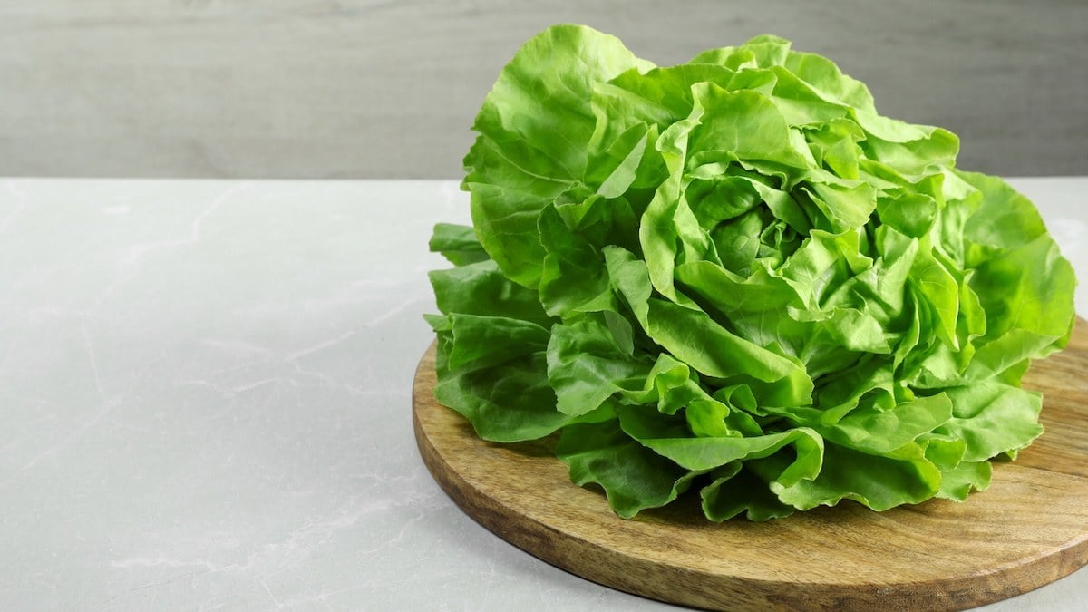 Salade qui fane en 2 jours dans le frigo : la méthode des maraîchers pour la conserver 15 jours