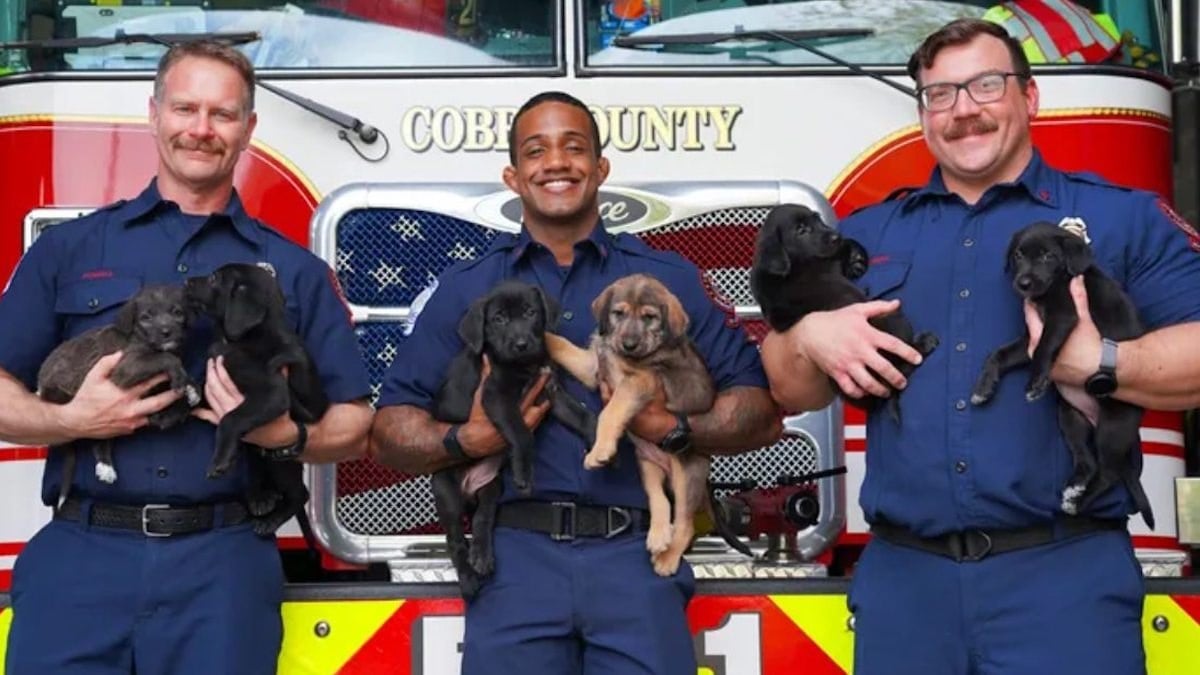 Les pompiers prenant la pose avec les chiots dans les bras 