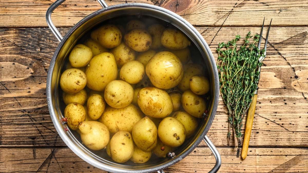 La pomme de terre est n°1 : voici le classement des aliments qui rassasient vraiment le plus, selon la science