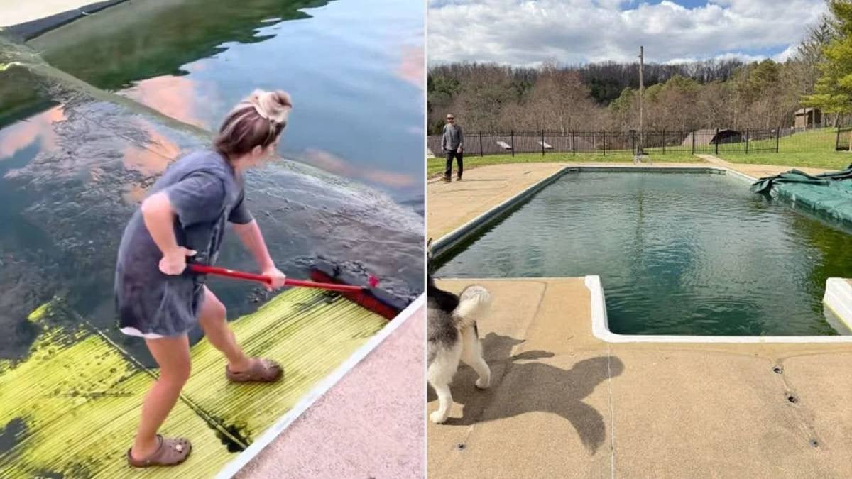 Rénovation de piscine