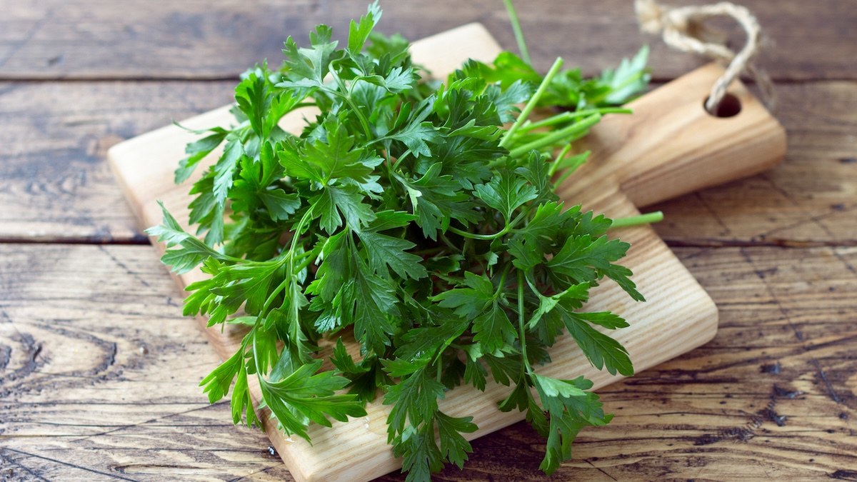 Vos herbes aromatiques noircissent en 48 h ? Voici comment les garder fraîches pendant 3 semaines