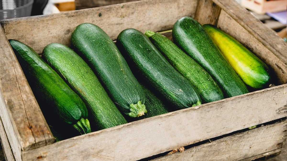 Vos courgettes ramollissent en 3 jours ? Les maraîchers les gardent...