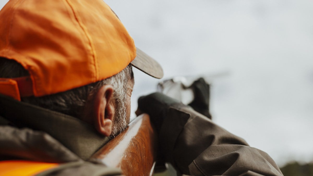 Un chasseur voit « quelque chose bouger dans des fougères » pendant une battue et tire : c'était un promeneur de 65 ans, mortellement touché