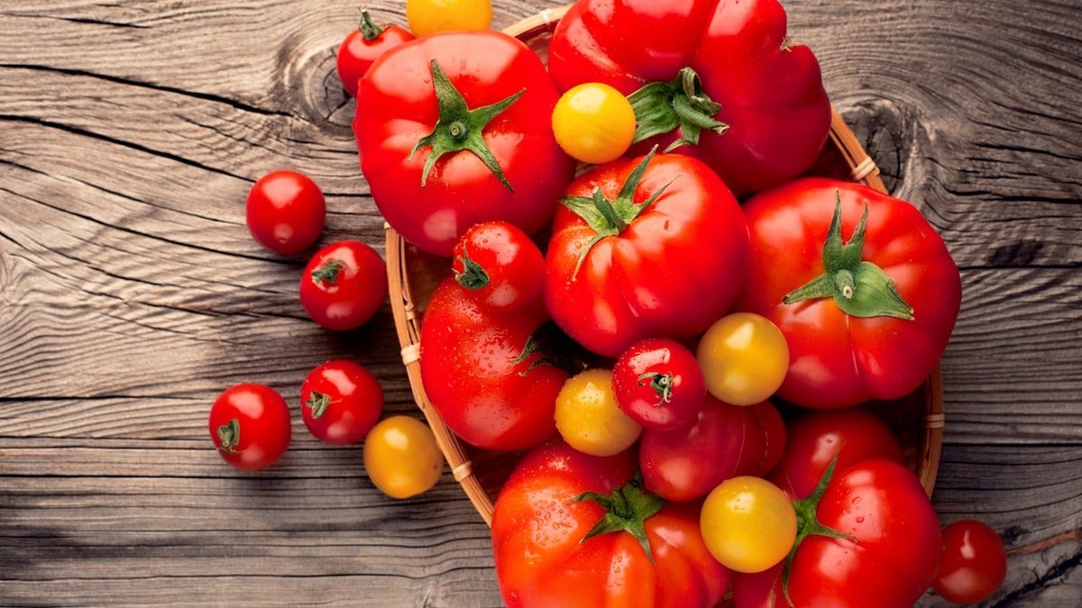 Vos tomates perdent tout leur goût au frigo ? Ce que font les maraîchers pour les conserver sans les abîmer