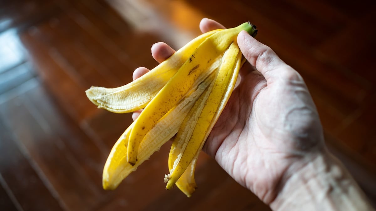 Peaux de banane : 5 utilisations en cuisine et dans le jardin que personne ne soupçonne