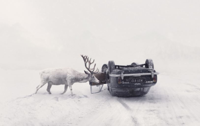 Ces 20 photographies des lauréats du concours international Sony sont époustouflantes ! Par Justine B.                        Sony18