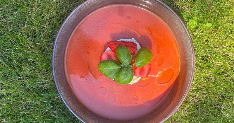 Gaspacho aux tomates cerises et mozzarella