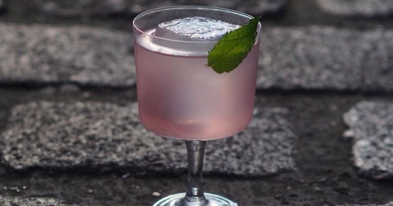 Cocktail rhubarbe et gingembre