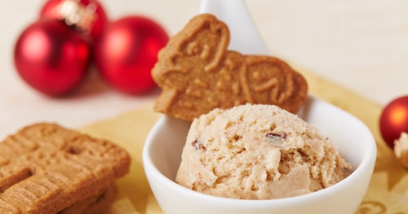 Crème glacée aux speculoos