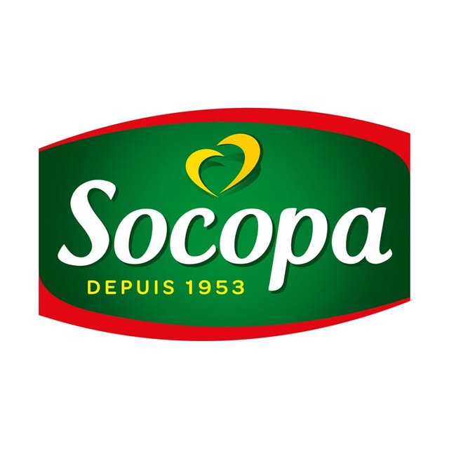 Socopa