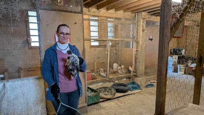 Nathalie Duval, &eacute;leveuse de poules pondeuses