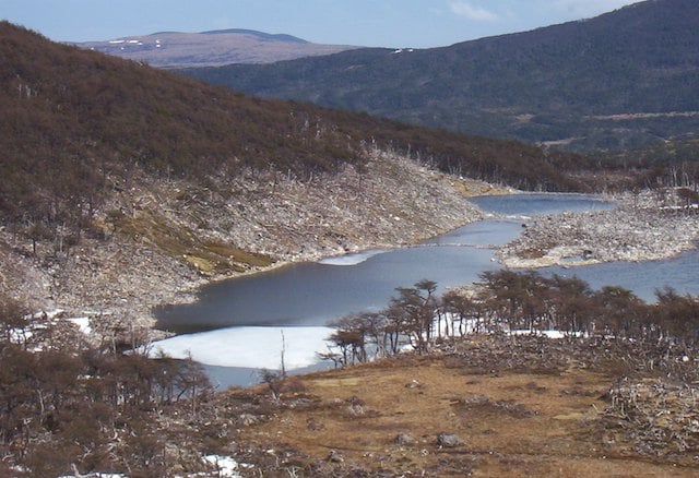L&rsquo;anneau blanc qui entoure le lac indique la disparition de la for&ecirc;t riveraine sur l&rsquo;&icirc;le Navarino, au Chili