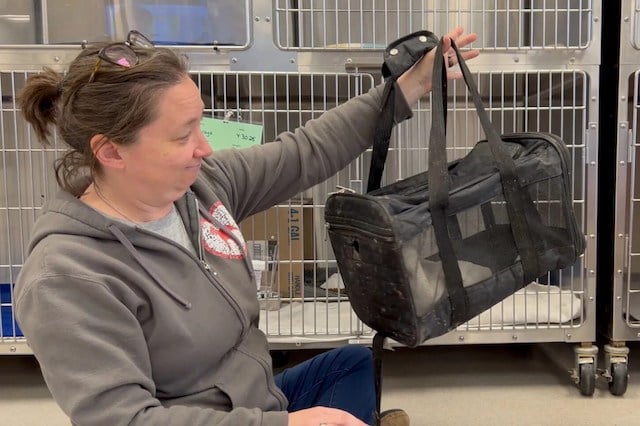 Un membre du personnel de la Best Friends Animal Society tient la cage de transport dans laquelle Mirage a été trouvée