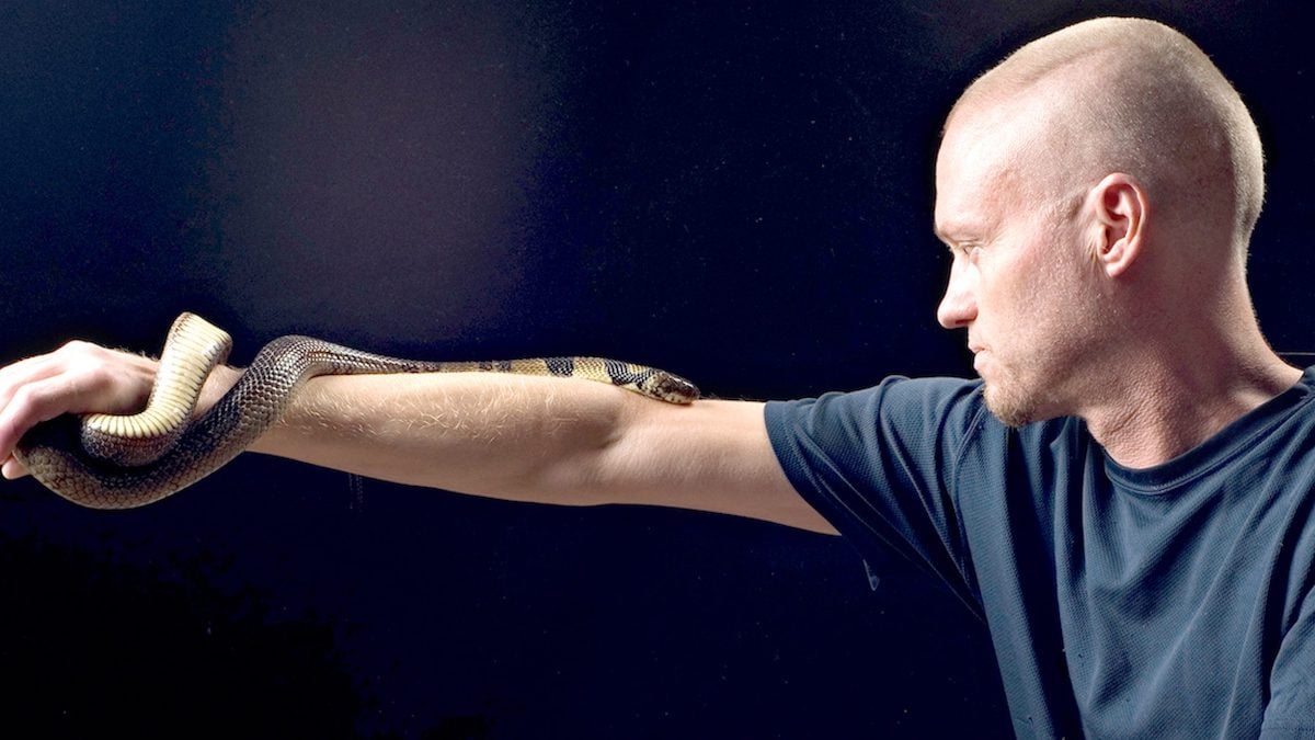 Tim Friede et les serpents