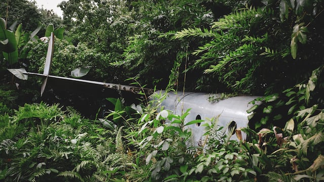 Avion abandonné dans la jungle